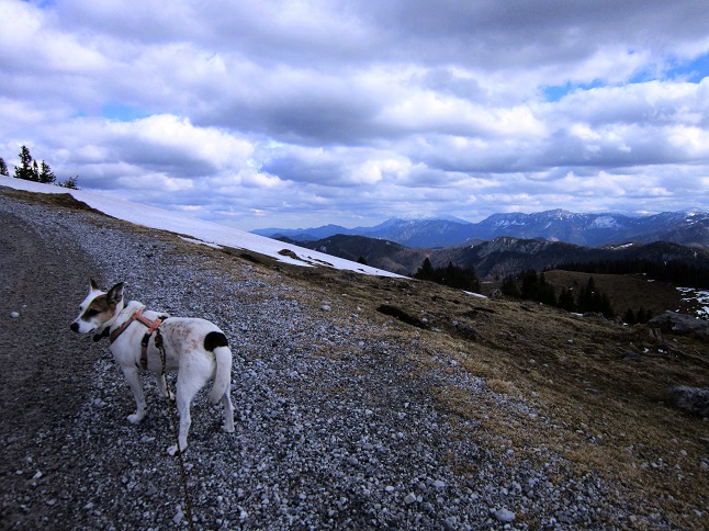 Foto: Andreas Koller / Wandertour / Genusswanderung zum Tirolerkogel (1379m) / 26.04.2020 01:20:40