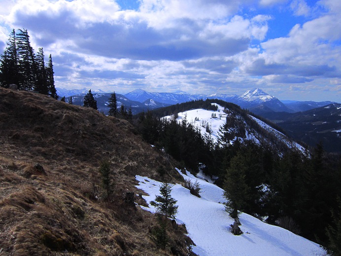 Foto: Andreas Koller / Wandertour / Genusswanderung zum Tirolerkogel (1379m) / 26.04.2020 01:19:11