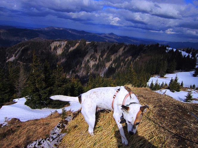 Foto: Andreas Koller / Wandertour / Genusswanderung zum Tirolerkogel (1379m) / 26.04.2020 01:18:40