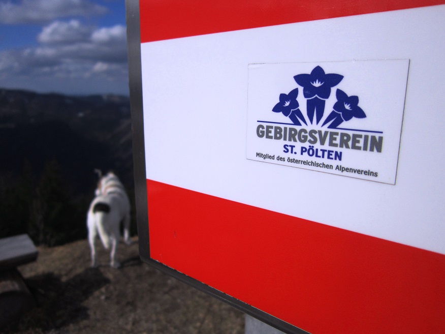 Foto: Andreas Koller / Wandertour / Genusswanderung zum Tirolerkogel (1379m) / 26.04.2020 01:17:31