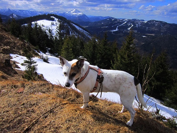 Foto: Andreas Koller / Wandertour / Genusswanderung zum Tirolerkogel (1379m) / 26.04.2020 01:16:13