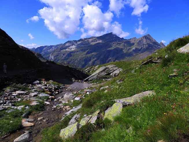 Foto: Andreas Koller / Wandertour / Panorama-Dreitausender Alta Luce (3186m) / 08.05.2020 01:19:44
