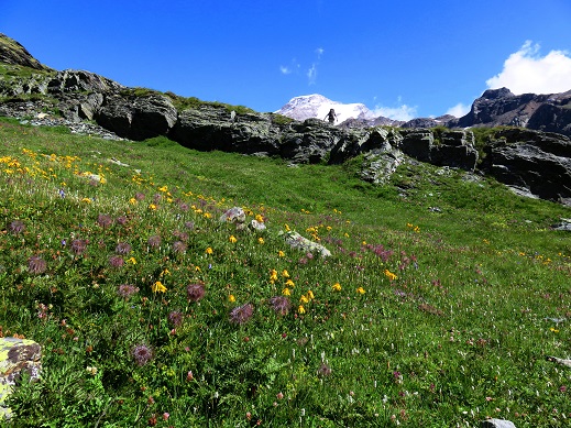 Foto: Andreas Koller / Wandertour / Panorama-Dreitausender Alta Luce (3186m) / 08.05.2020 01:19:32