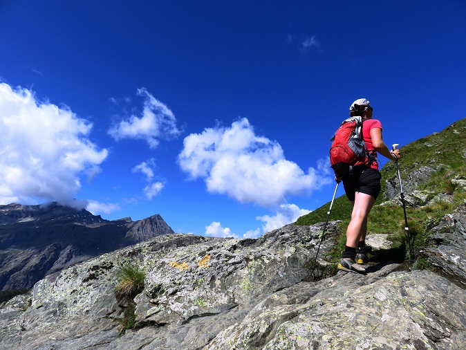 Foto: Andreas Koller / Wandertour / Panorama-Dreitausender Alta Luce (3186m) / 08.05.2020 01:19:14