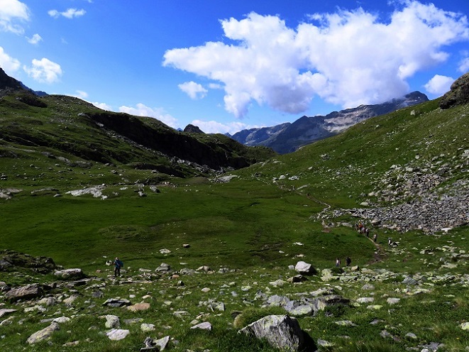 Foto: Andreas Koller / Wandertour / Panorama-Dreitausender Alta Luce (3186m) / 08.05.2020 01:19:07