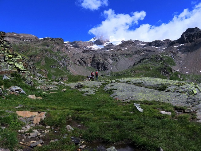 Foto: Andreas Koller / Wandertour / Panorama-Dreitausender Alta Luce (3186m) / 08.05.2020 01:18:40