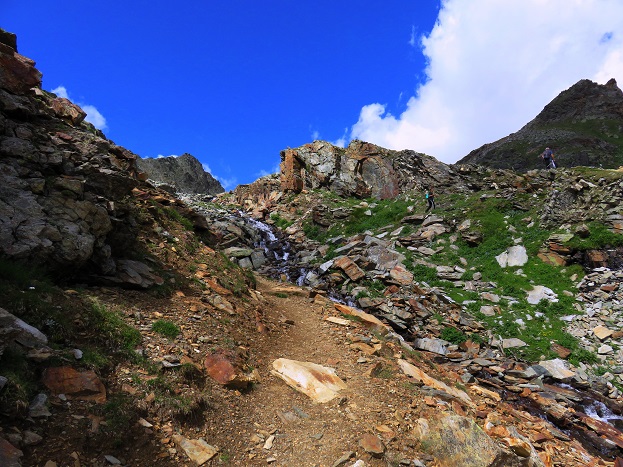 Foto: Andreas Koller / Wandertour / Panorama-Dreitausender Alta Luce (3186m) / 08.05.2020 01:17:57
