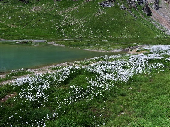 Foto: Andreas Koller / Wandertour / Panorama-Dreitausender Alta Luce (3186m) / 08.05.2020 01:08:36