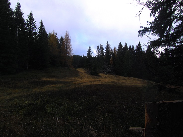 Foto: Andreas Koller / Wandertour / Großofen - Felsbastion im Wald (1473m) / 13.05.2020 01:16:07