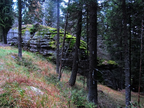 Foto: Andreas Koller / Wandertour / Großofen - Felsbastion im Wald (1473m) / 13.05.2020 01:15:27