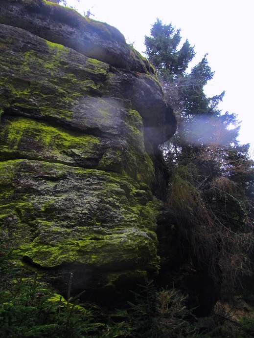 Foto: Andreas Koller / Wandertour / Großofen - Felsbastion im Wald (1473m) / 13.05.2020 01:15:19