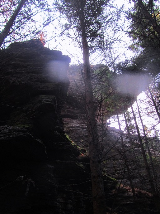 Foto: Andreas Koller / Wandertour / Großofen - Felsbastion im Wald (1473m) / 13.05.2020 01:14:58