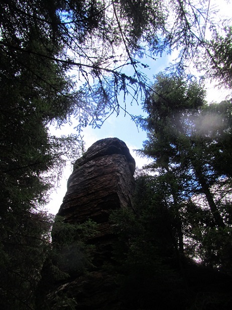 Foto: Andreas Koller / Wandertour / Großofen - Felsbastion im Wald (1473m) / 13.05.2020 01:14:51