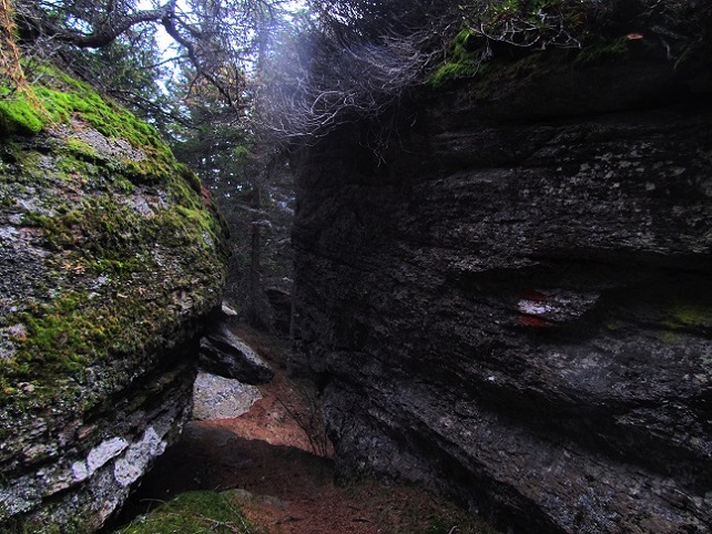 Foto: Andreas Koller / Wandertour / Großofen - Felsbastion im Wald (1473m) / Annäherung / 13.05.2020 01:14:44