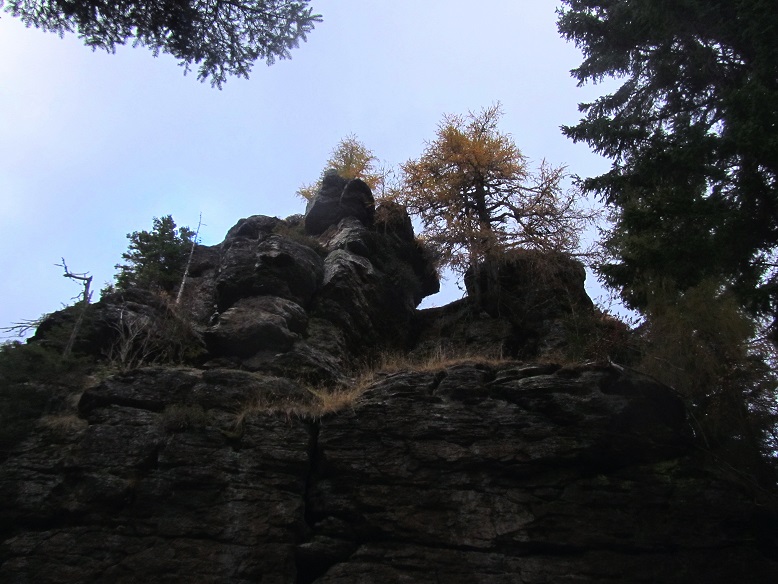Foto: Andreas Koller / Wandertour / Großofen - Felsbastion im Wald (1473m) / 13.05.2020 01:14:28
