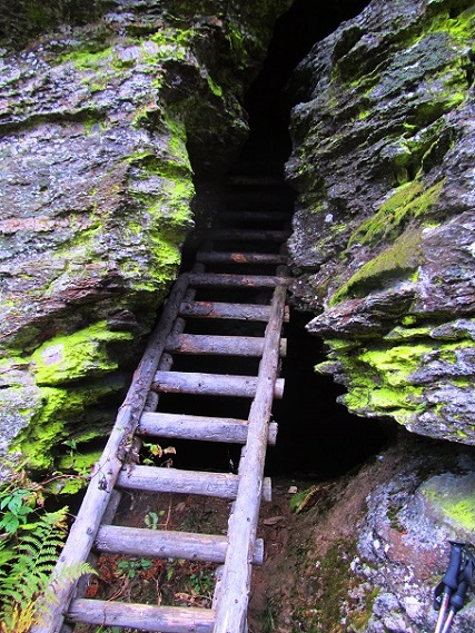 Foto: Andreas Koller / Wandertour / Großofen - Felsbastion im Wald (1473m) / Über die Holzleiter ins Felsinnere / 13.05.2020 01:13:55