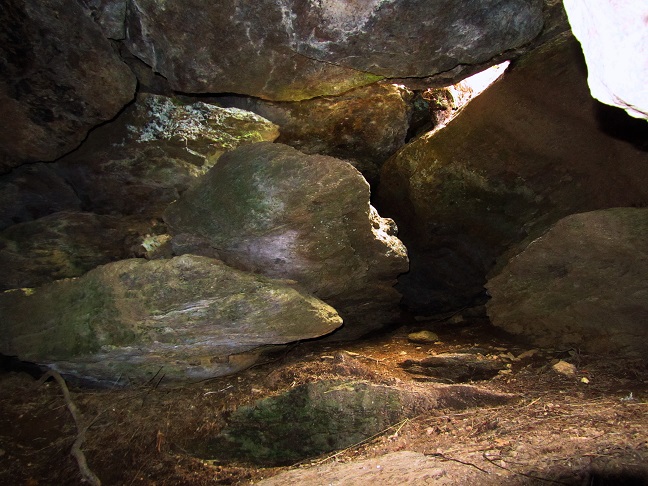 Foto: Andreas Koller / Wandertour / Großofen - Felsbastion im Wald (1473m) / 13.05.2020 01:13:37