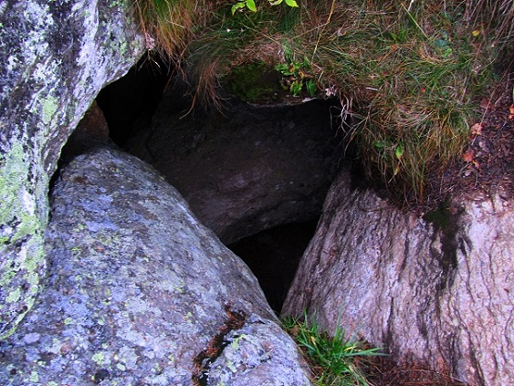 Foto: Andreas Koller / Wandertour / Großofen - Felsbastion im Wald (1473m) / Ausstieg durch den Spalt / 13.05.2020 01:13:28