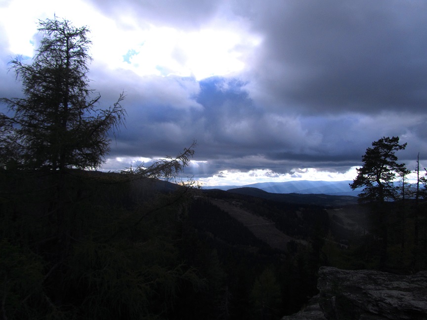 Foto: Andreas Koller / Wandertour / Großofen - Felsbastion im Wald (1473m) / Gipfelplateau / 13.05.2020 01:13:13