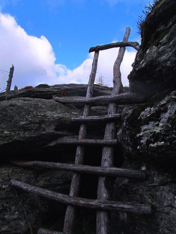 Foto: Andreas Koller / Wandertour / Großofen - Felsbastion im Wald (1473m) / Abstieg vom Großofen / 13.05.2020 01:11:42