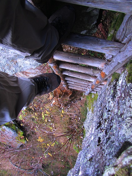 Foto: Andreas Koller / Wandertour / Großofen - Felsbastion im Wald (1473m) / 13.05.2020 01:11:22