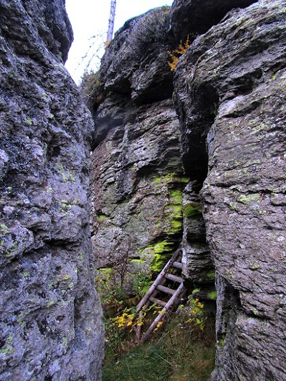 Foto: Andreas Koller / Wandertour / Großofen - Felsbastion im Wald (1473m) / 13.05.2020 01:11:14