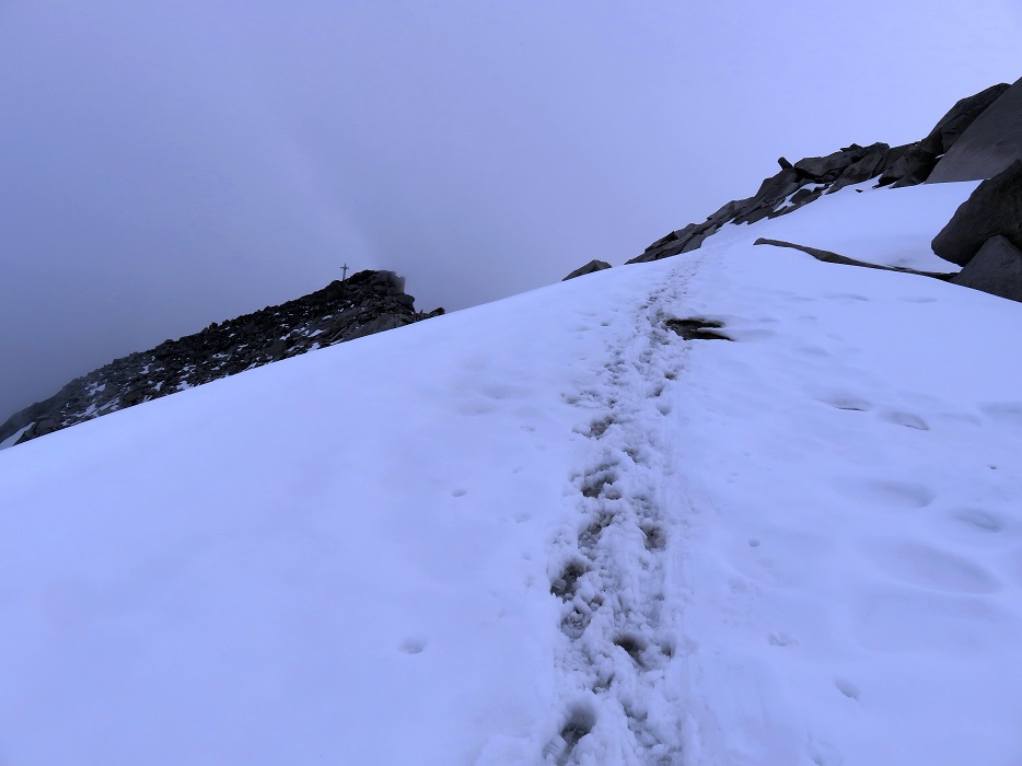 Foto: Andreas Koller / Wandertour / TG Berliner Hütte 2: Schwarzenstein (3369m) / 29.05.2020 23:00:32