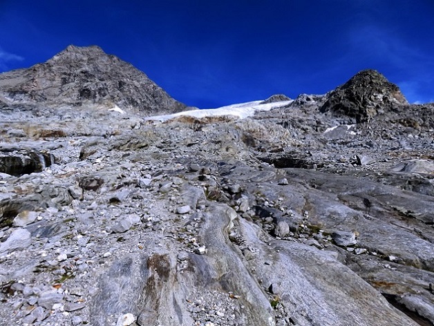 Foto: Andreas Koller / Wandertour / TG Berliner Hütte 2: Schwarzenstein (3369m) / 29.05.2020 22:59:06