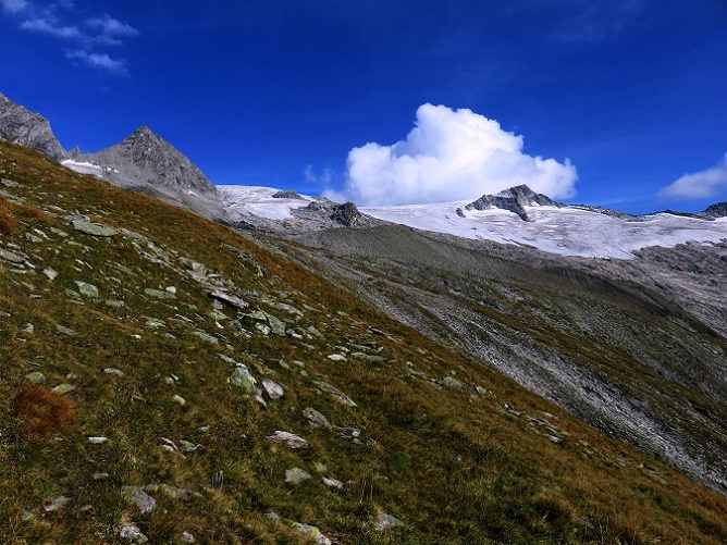 Foto: Andreas Koller / Wandertour / TG Berliner Hütte 2: Schwarzenstein (3369m) / 29.05.2020 22:58:00
