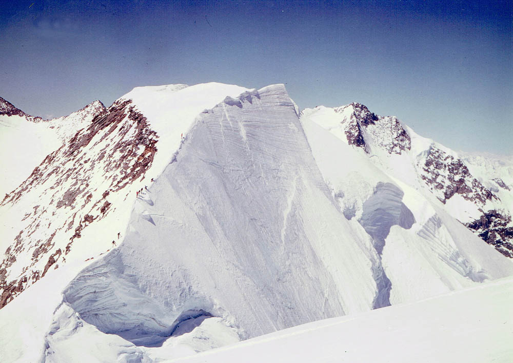 Foto: Rupert Gredler / Skitour / Piz Palü Hauptgipfel / Auf dem Weg zum Hauptgipfel / 18.06.2020 09:25:03