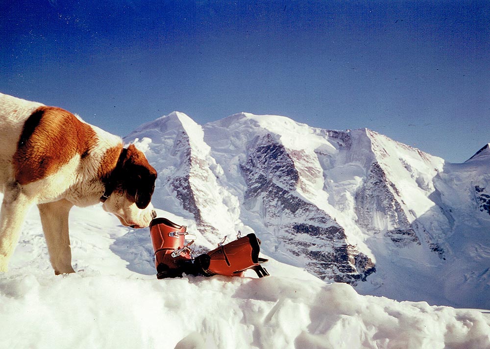 Foto: Rupert Gredler / Skitour / Piz Palü Hauptgipfel / Palü Impressionen auf der Diavolezza / 18.06.2020 09:20:50