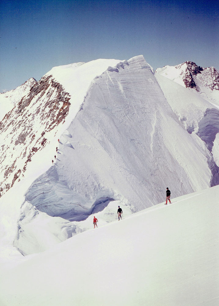 Foto: Rupert Gredler / Skitour / Piz Palü Hauptgipfel / Auf dem Weg zum Hauptgipfel / 15.06.2020 20:35:12