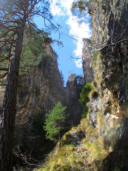 Foto: Andreas Koller / Klettersteigtour / Via ferrata Attilio Sieff auf die Punta Polse (1450m) / Schlucht / 15.06.2020 23:56:19