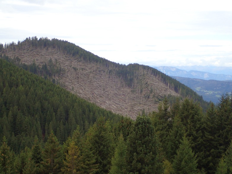 Foto: Manfred Karl / Klettersteigtour / Via ferrata dei Laghi auf die Vetta del Castel di Bombasel / Sturmschäden vom Herbst 2018 / 21.06.2020 07:25:25