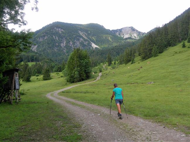 Foto: Wolfgang Lauschensky / Wandertour / Aiplspitz Überschreitung zum Hochmiesing / Aiplspitz von Geitau / 17.07.2020 17:59:32