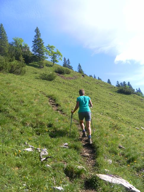 Foto: Wolfgang Lauschensky / Wandertour / Aiplspitz Überschreitung zum Hochmiesing / Querung zur Heißenplatte / 17.07.2020 17:59:13