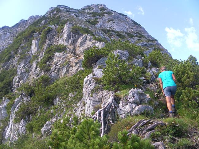 Foto: Wolfgang Lauschensky / Wandertour / Aiplspitz Überschreitung zum Hochmiesing / Nordgratansatz / 17.07.2020 17:58:47