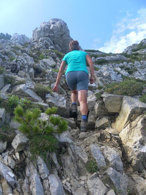 Foto: Wolfgang Lauschensky / Wandertour / Aiplspitz Überschreitung zum Hochmiesing / breiter Nordgrat / 17.07.2020 17:58:38