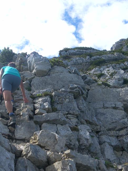 Foto: Wolfgang Lauschensky / Wandertour / Aiplspitz Überschreitung zum Hochmiesing / schön gestuft / 17.07.2020 17:58:29