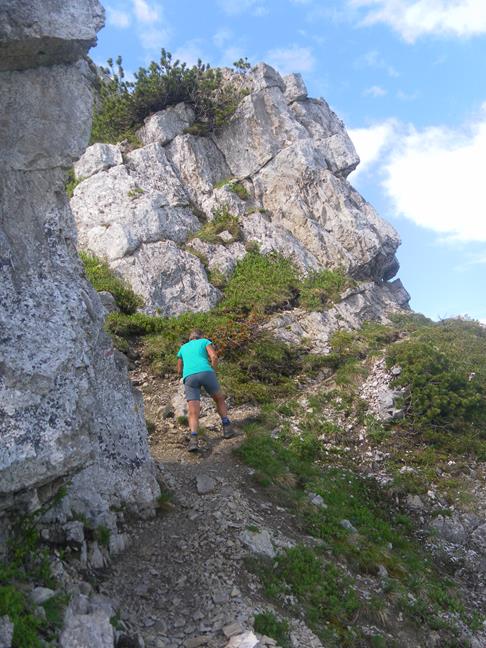 Foto: Wolfgang Lauschensky / Wandertour / Aiplspitz Überschreitung zum Hochmiesing / kurze Gehpassagen / 17.07.2020 17:58:12