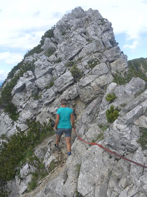 Foto: Wolfgang Lauschensky / Wandertour / Aiplspitz Überschreitung zum Hochmiesing / kurze Seilsicherung am Normalweg / 17.07.2020 17:57:57