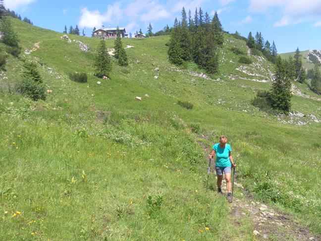Foto: Wolfgang Lauschensky / Wandertour / Aiplspitz Überschreitung zum Hochmiesing / Taubensteinhaus / 17.07.2020 17:57:34