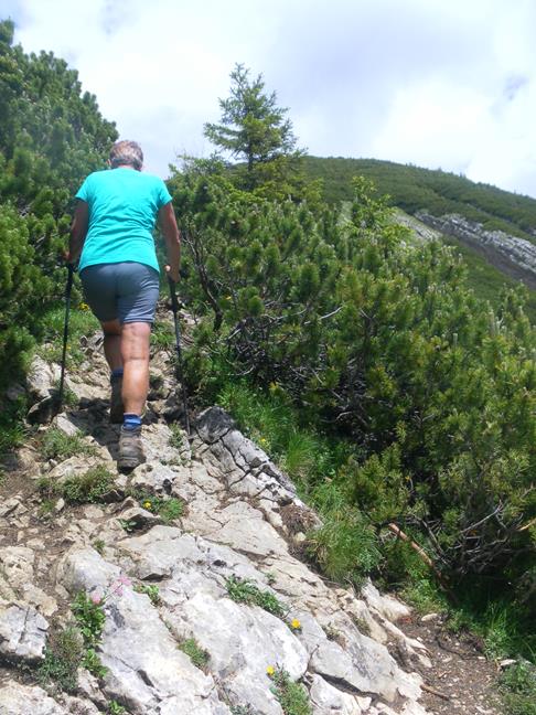Foto: Wolfgang Lauschensky / Wandertour / Aiplspitz Überschreitung zum Hochmiesing / Latschengassen zum Hochmiesing / 17.07.2020 17:57:30