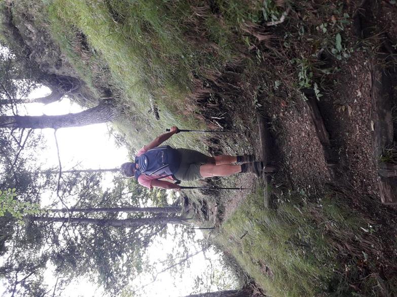 Foto: Wolfgang Lauschensky / Wandertour / Wöhrer Köpfl 782m Überschreitung / steiler Gipfelsteig / 29.08.2020 20:23:39
