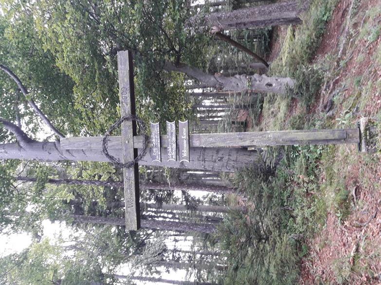 Foto: Wolfgang Lauschensky / Wandertour / Wöhrer Köpfl 782m Überschreitung / Wöhrerköpfl Gedenkkreuz / 29.08.2020 20:23:25