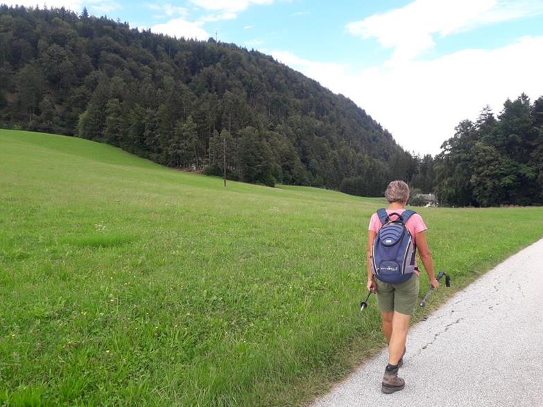 Foto: Wolfgang Lauschensky / Wandertour / Wöhrer Köpfl 782m Überschreitung / Wöhrer Köpfl von der Südumgehung / 29.08.2020 20:22:56