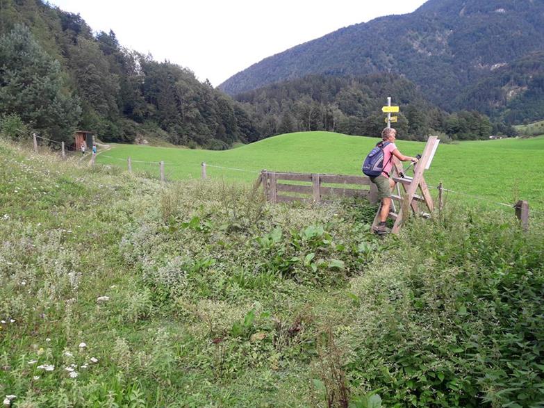Foto: Wolfgang Lauschensky / Wandertour / Wöhrer Köpfl 782m Überschreitung / Zaunüberstieg zum Höhenweg Schwoich / 29.08.2020 20:22:49