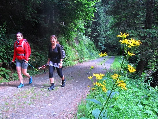 Foto: Andreas Koller / Wandertour / Rundtour auf der Hochalpe (1647m) / 08.09.2020 01:11:27