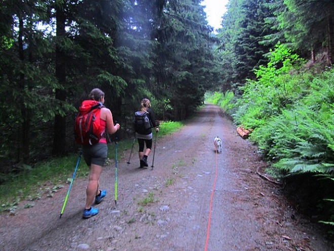 Foto: Andreas Koller / Wandertour / Rundtour auf der Hochalpe (1647m) / 08.09.2020 01:11:18