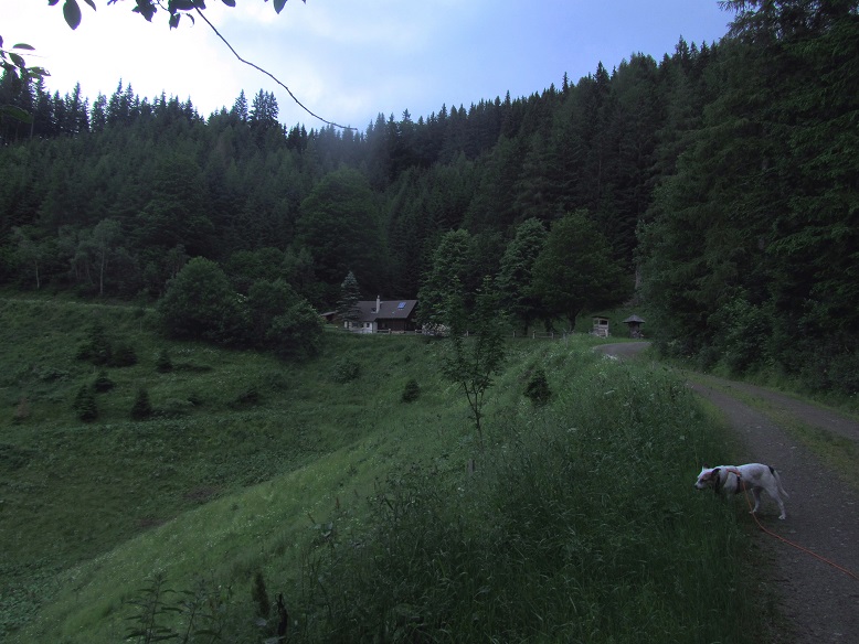 Foto: Andreas Koller / Wandertour / Rundtour auf der Hochalpe (1647m) / 08.09.2020 01:11:14